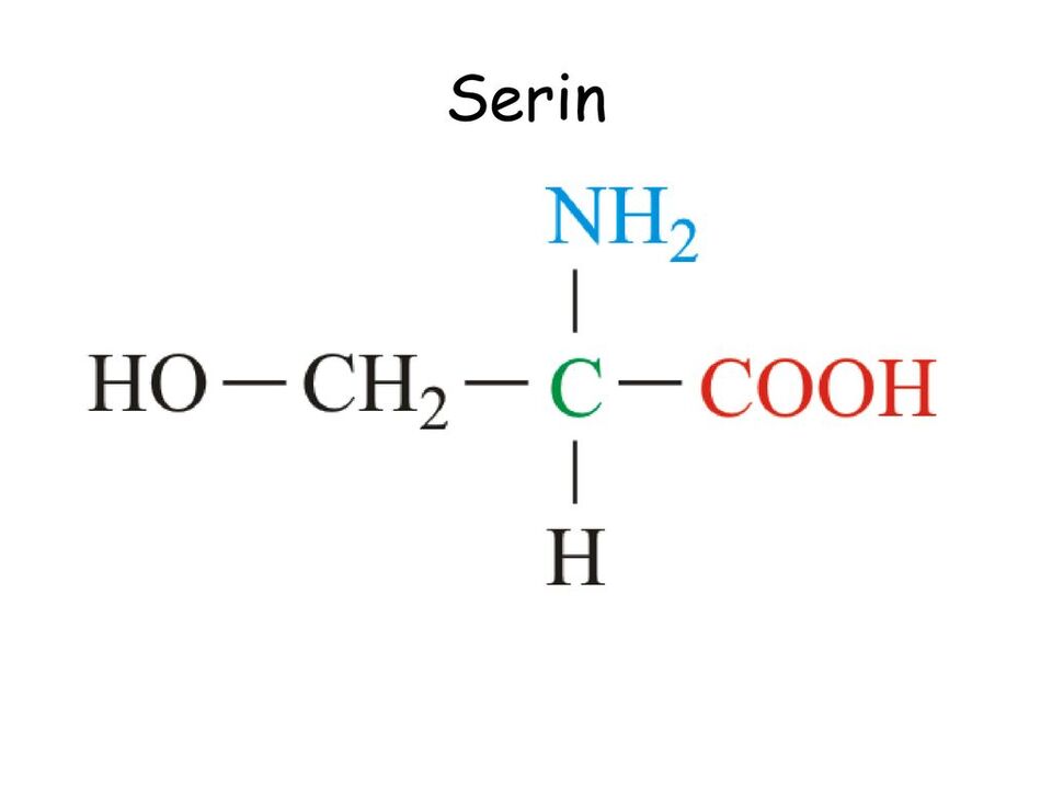 seryna w stopie tropperze